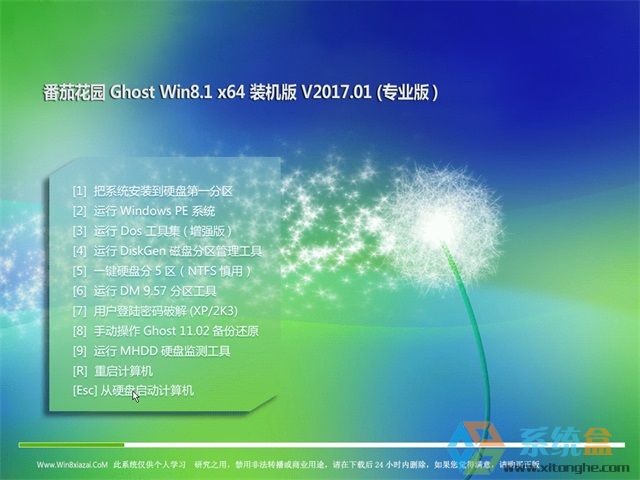 番茄花园Ghost Win8.1 (X64)专业装机版_ISO镜像2022年11月 ISO镜像高速下载